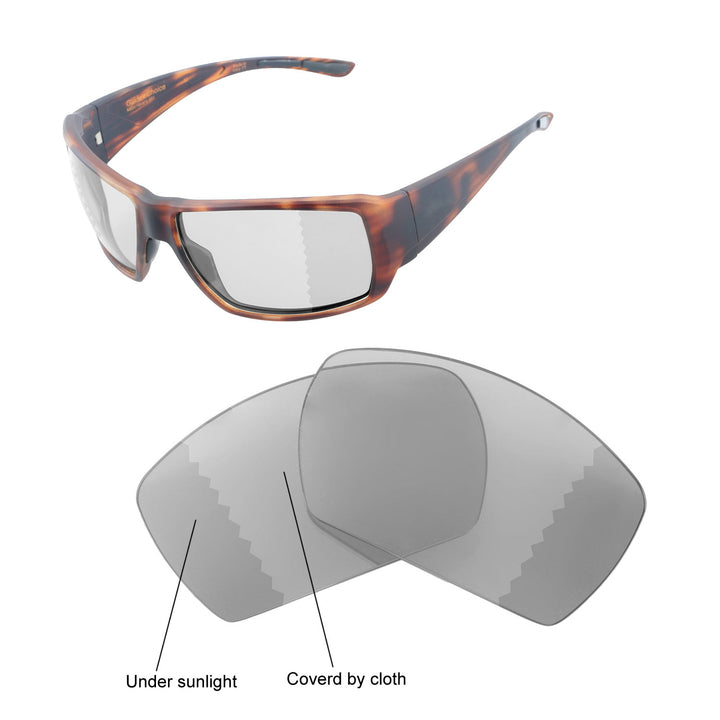 Transition Polarized