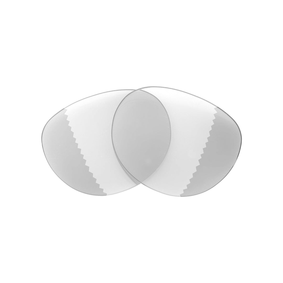 Transition Polarized