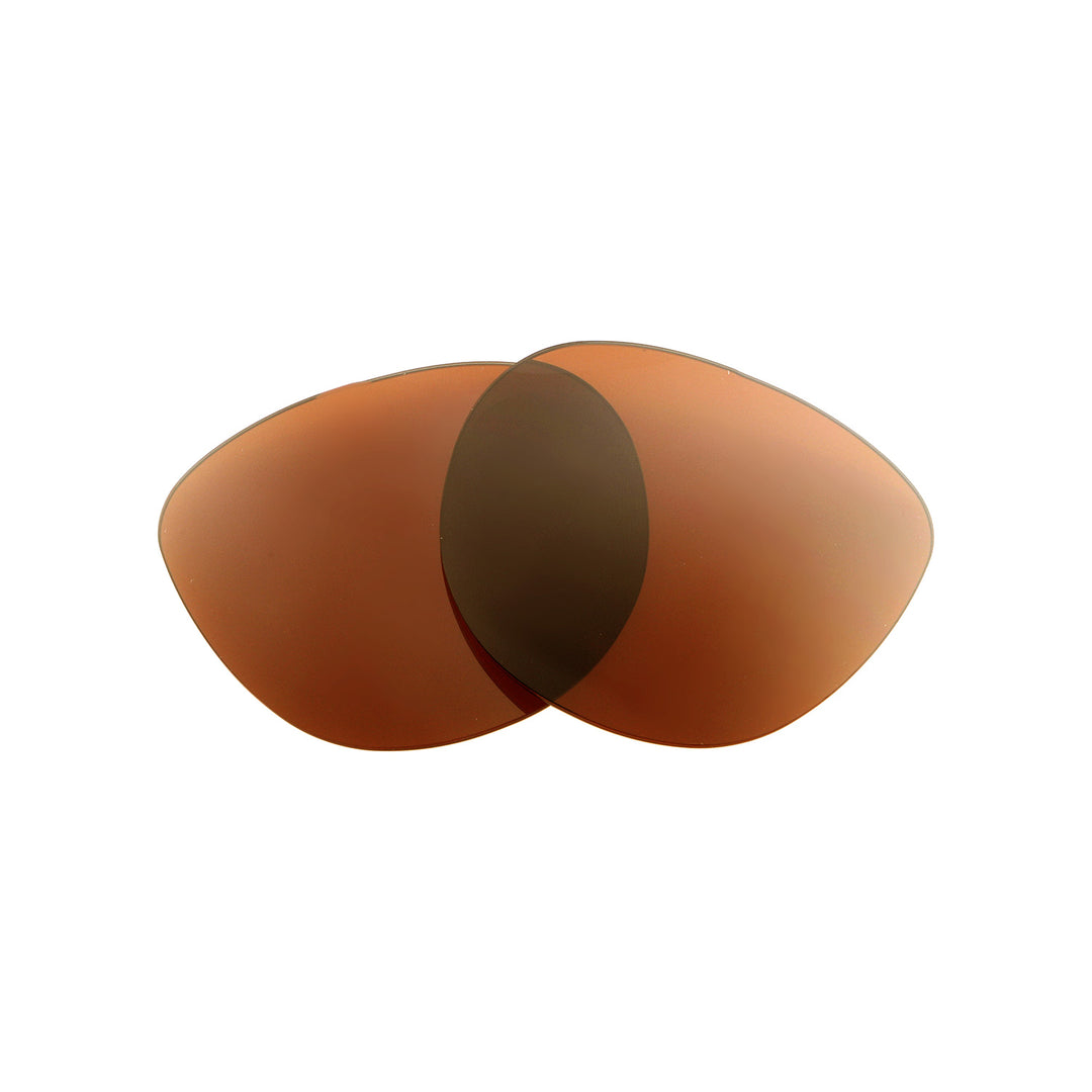 Brown Polarized