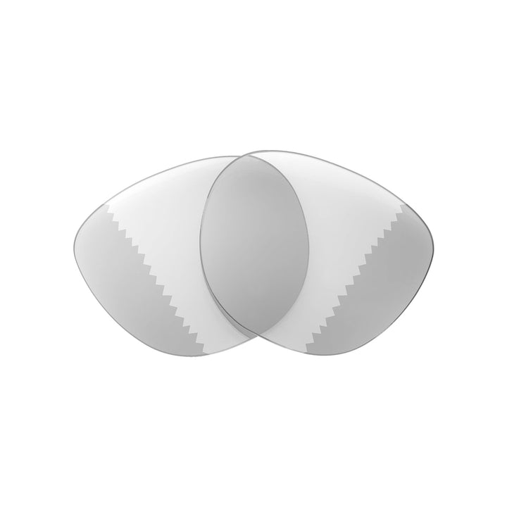 Transition Polarized