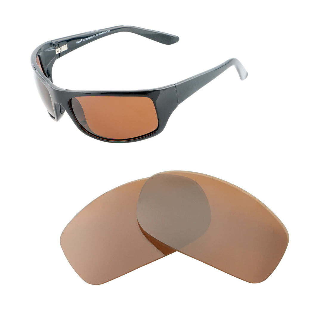 Brown Polarized