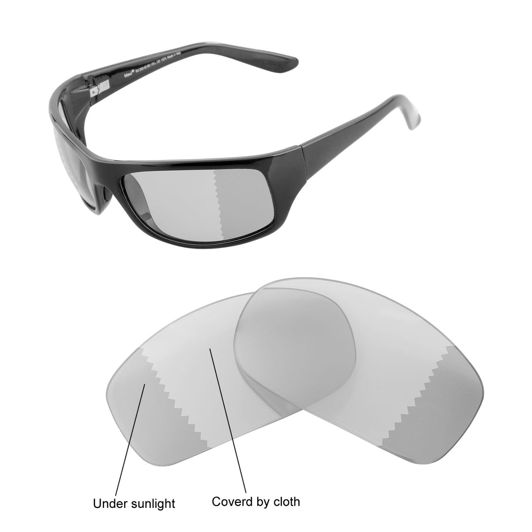 Transition Polarized