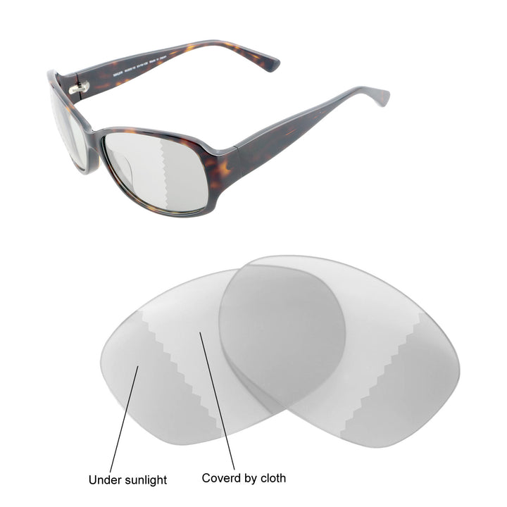 Transition Polarized