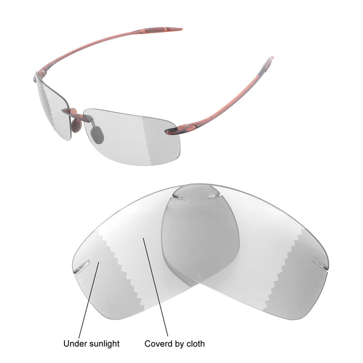 Transition Polarized
