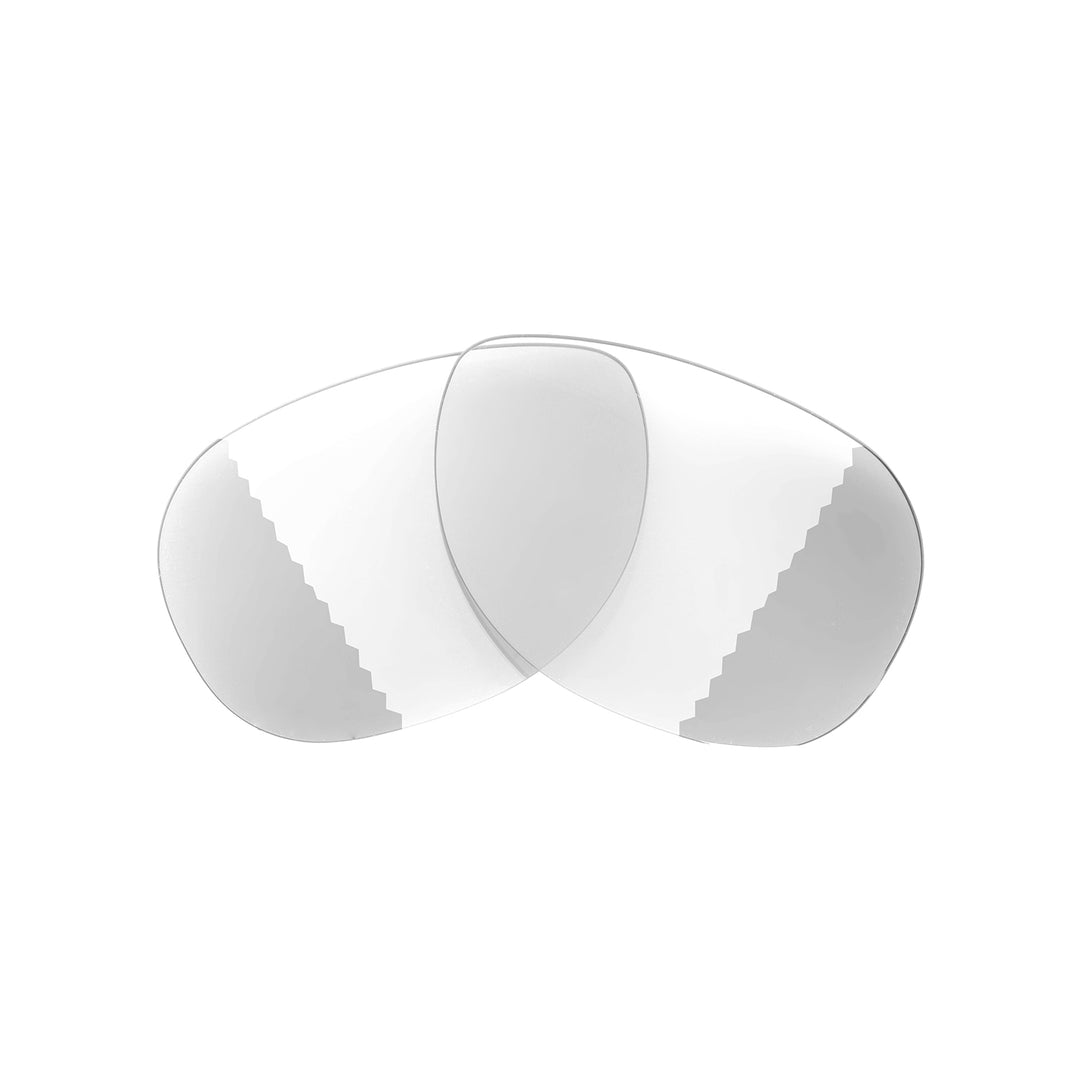 Transition Polarized