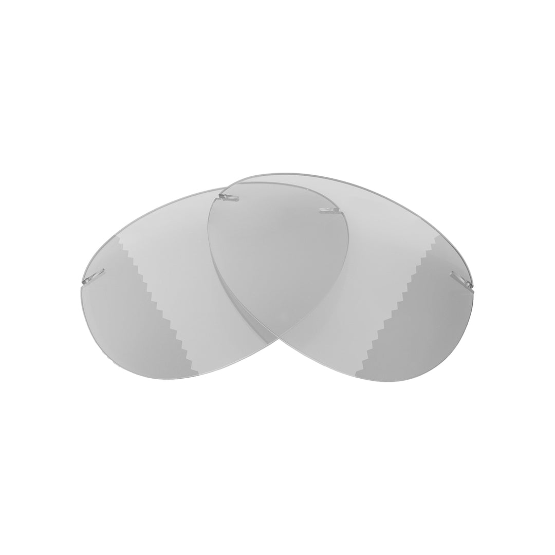 Transition Polarized