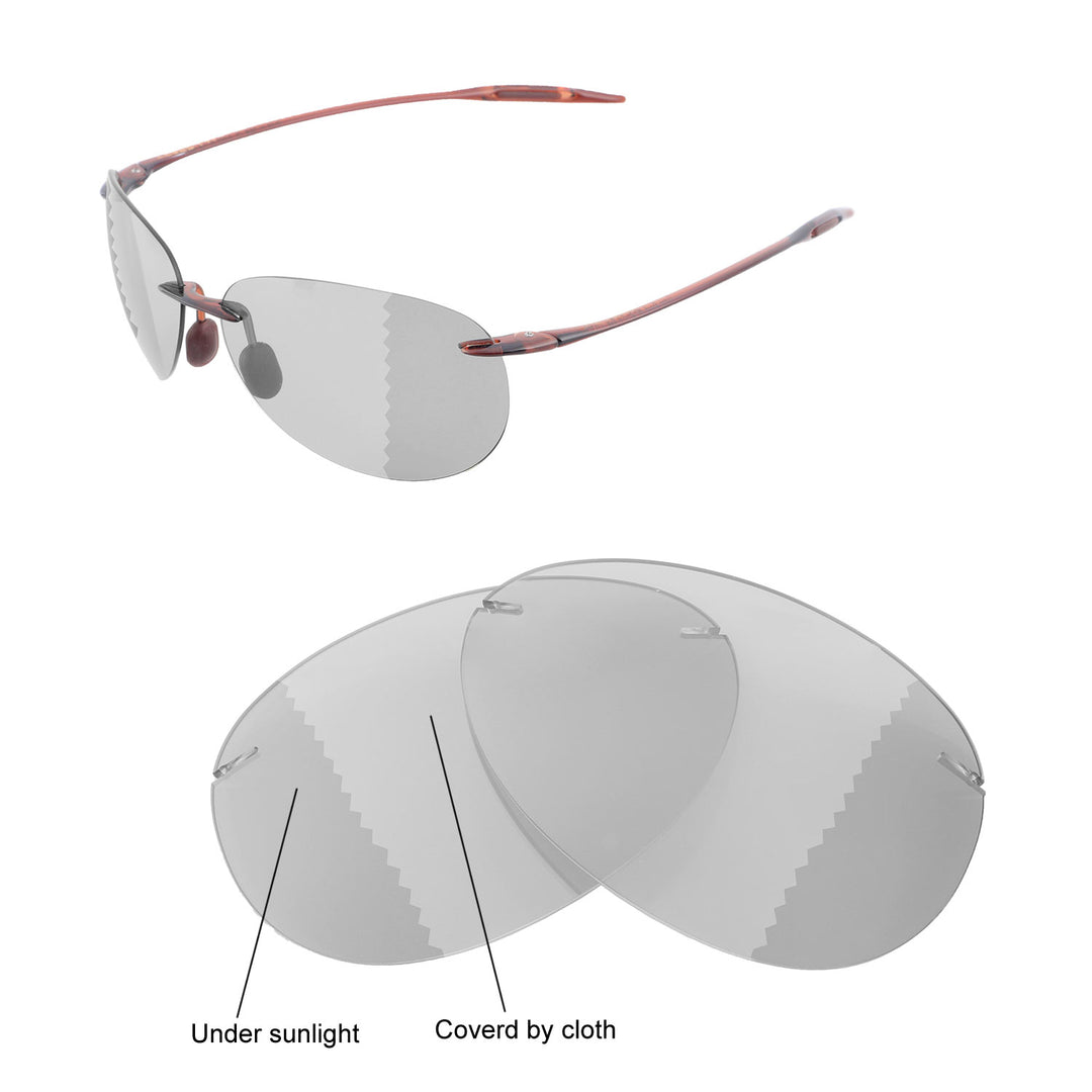 Transition Polarized