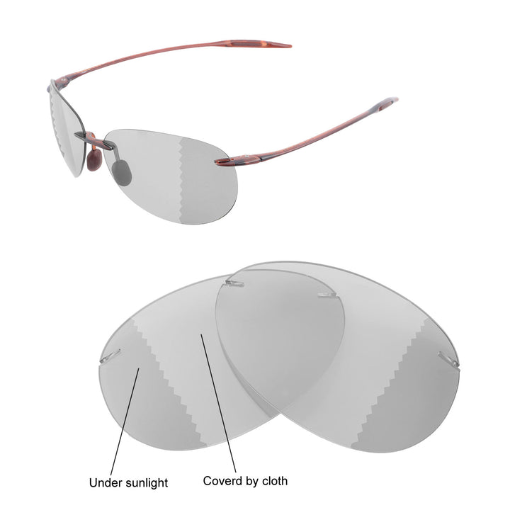 Transition Polarized