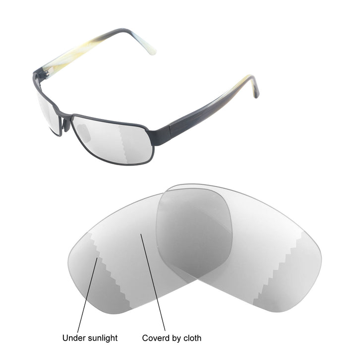 Transition Polarized