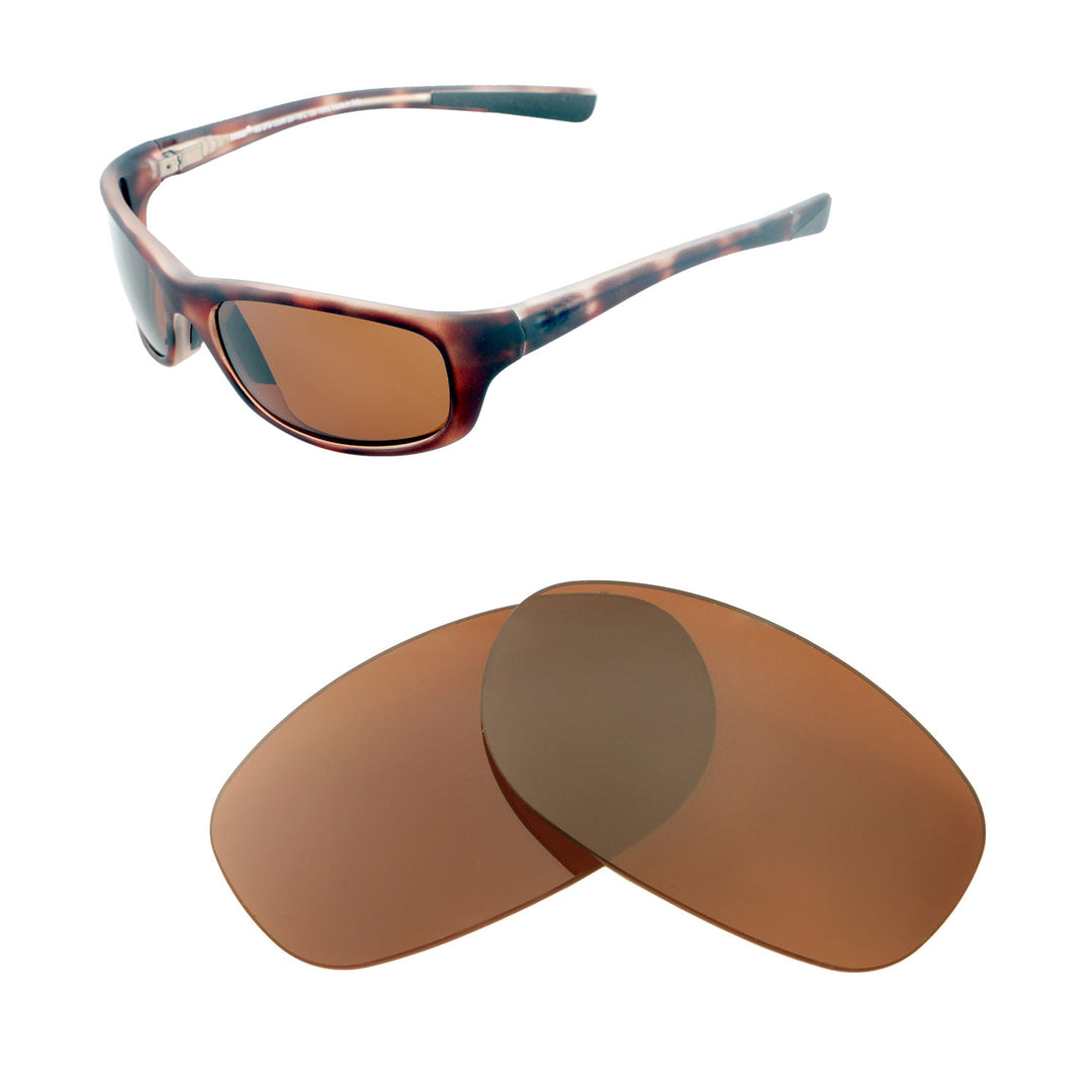 Brown Polarized