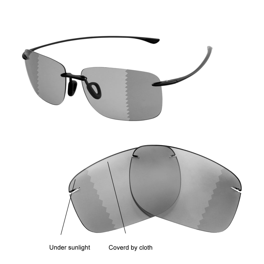 Transition Polarized