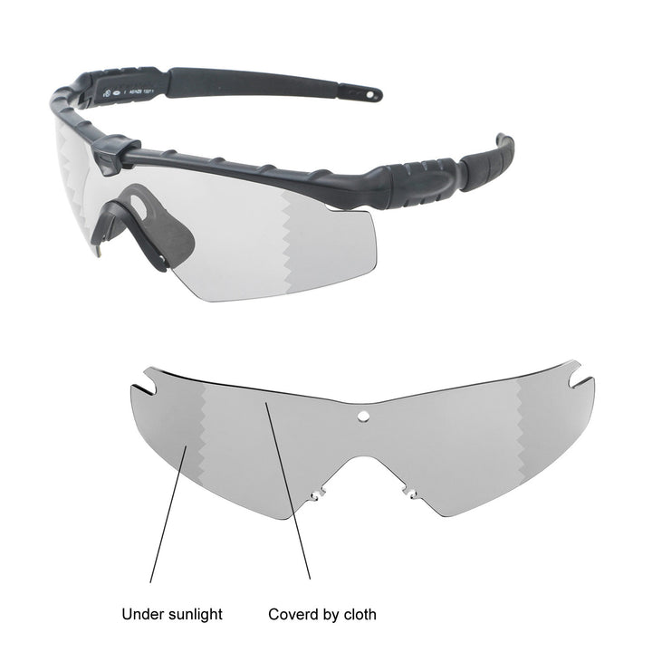 Transition Polarized