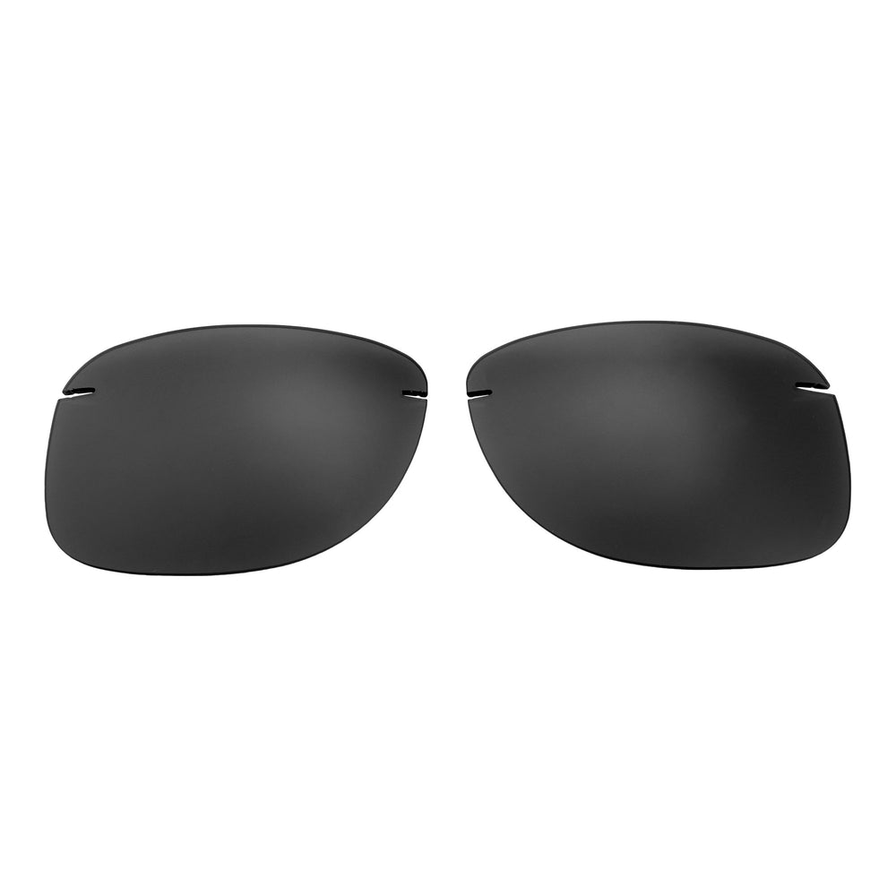 Black Polarized#color_black