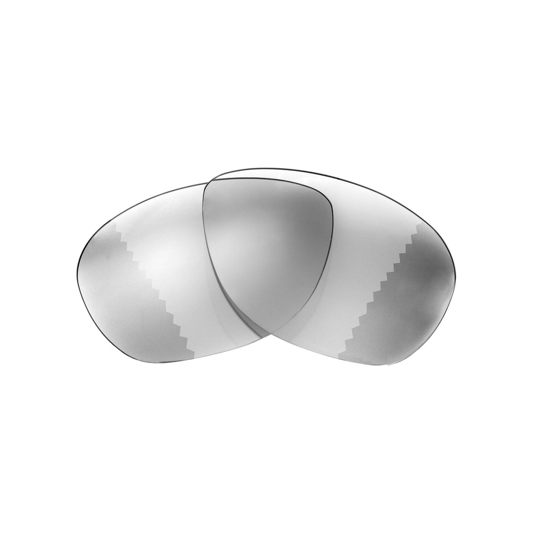 Transition Polarized
