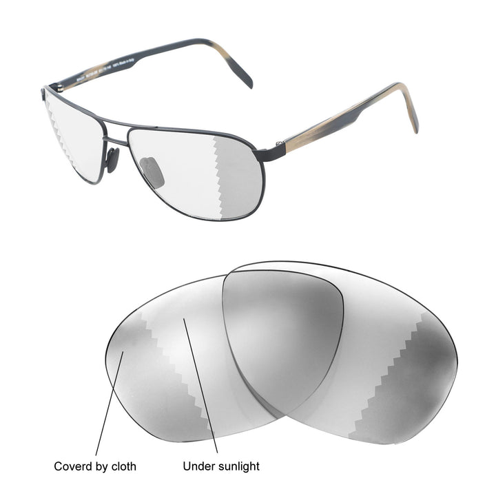 Transition Polarized
