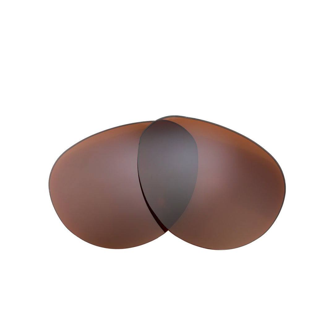 Brown Polarized