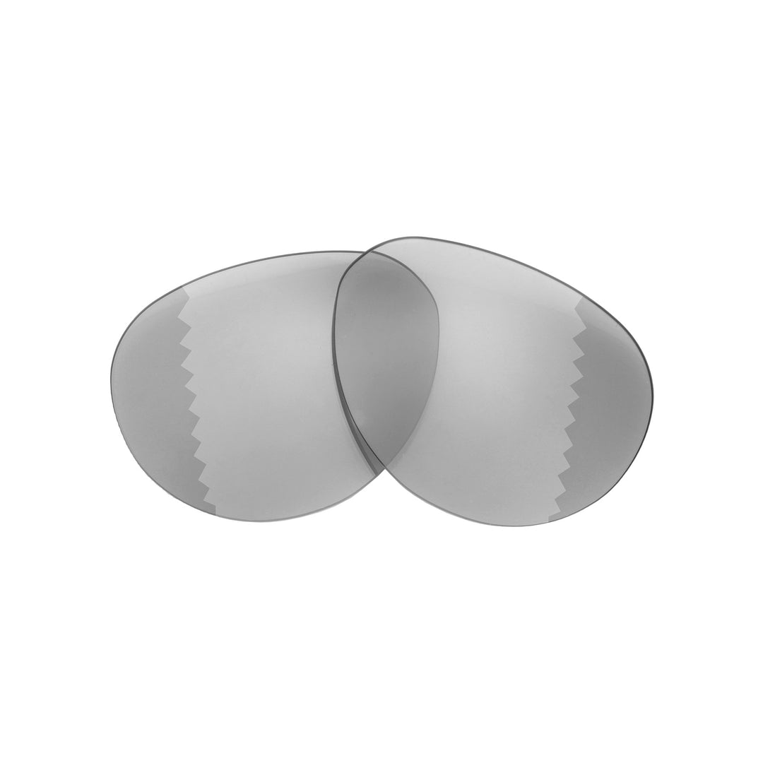 Transition Polarized