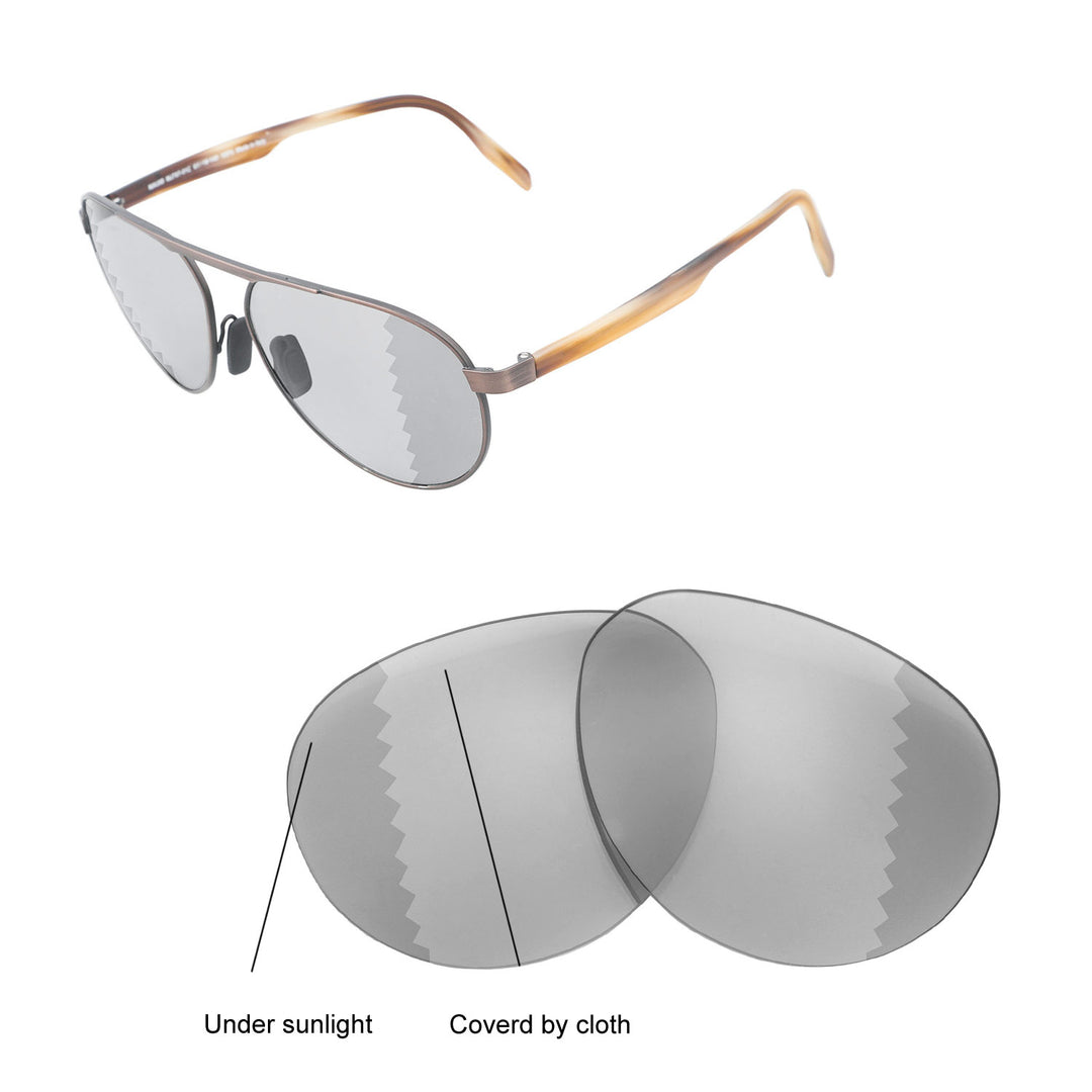 Transition Polarized