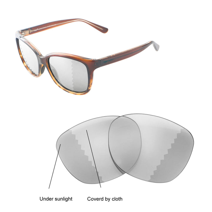 Transition Polarized