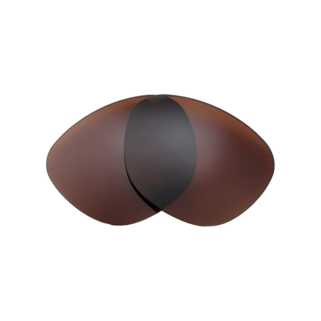Brown Polarized
