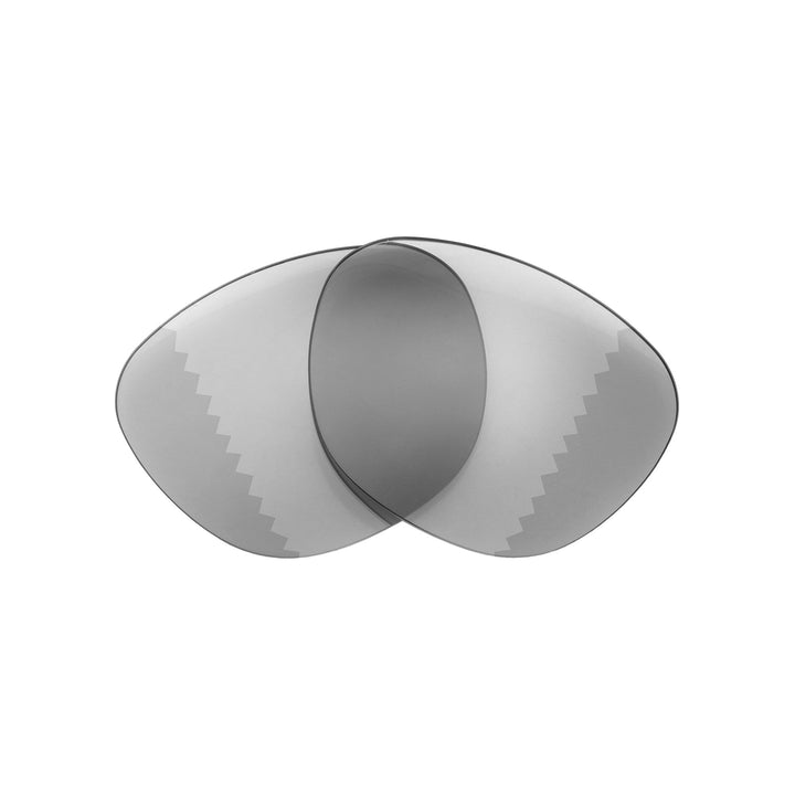 Transition Polarized