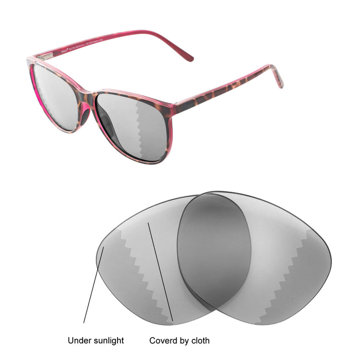 Transition Polarized
