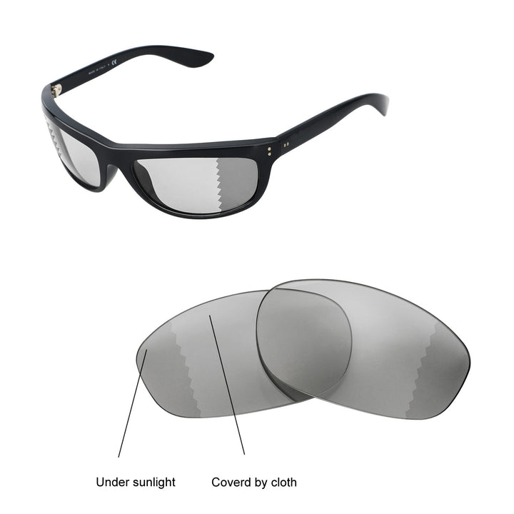 Transition Polarized