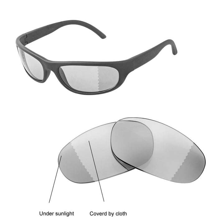 Transition Polarized