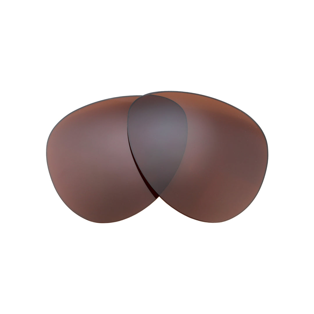Brown Polarized