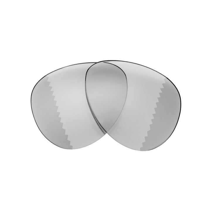 Transition Polarized