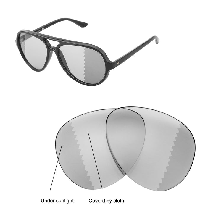 Transition Polarized