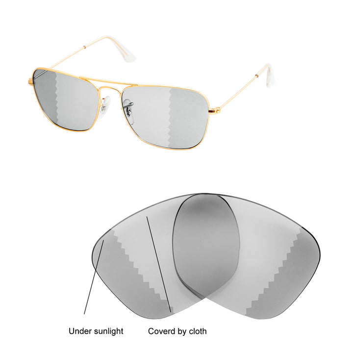 Transition Polarized