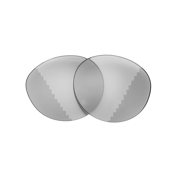 Transition Polarized