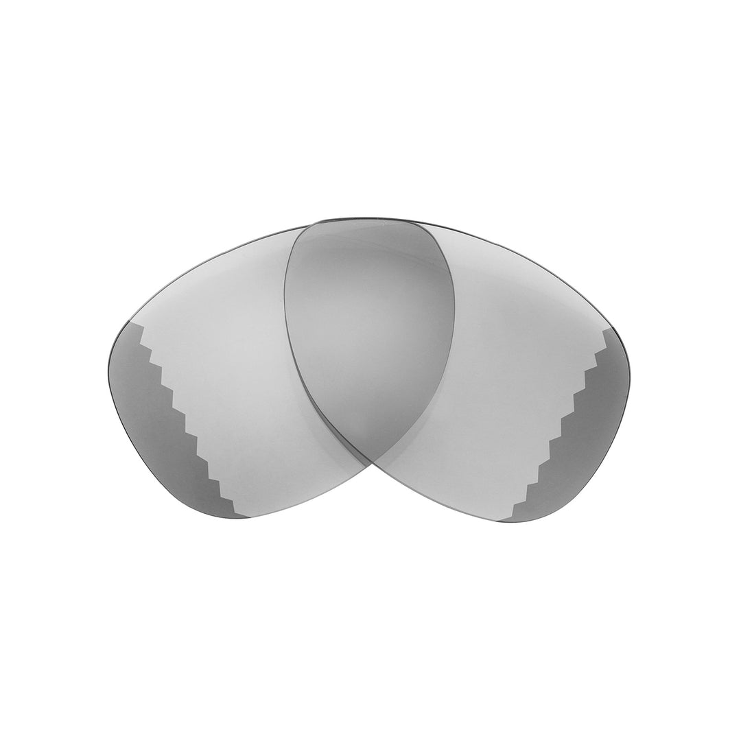 Transition Polarized