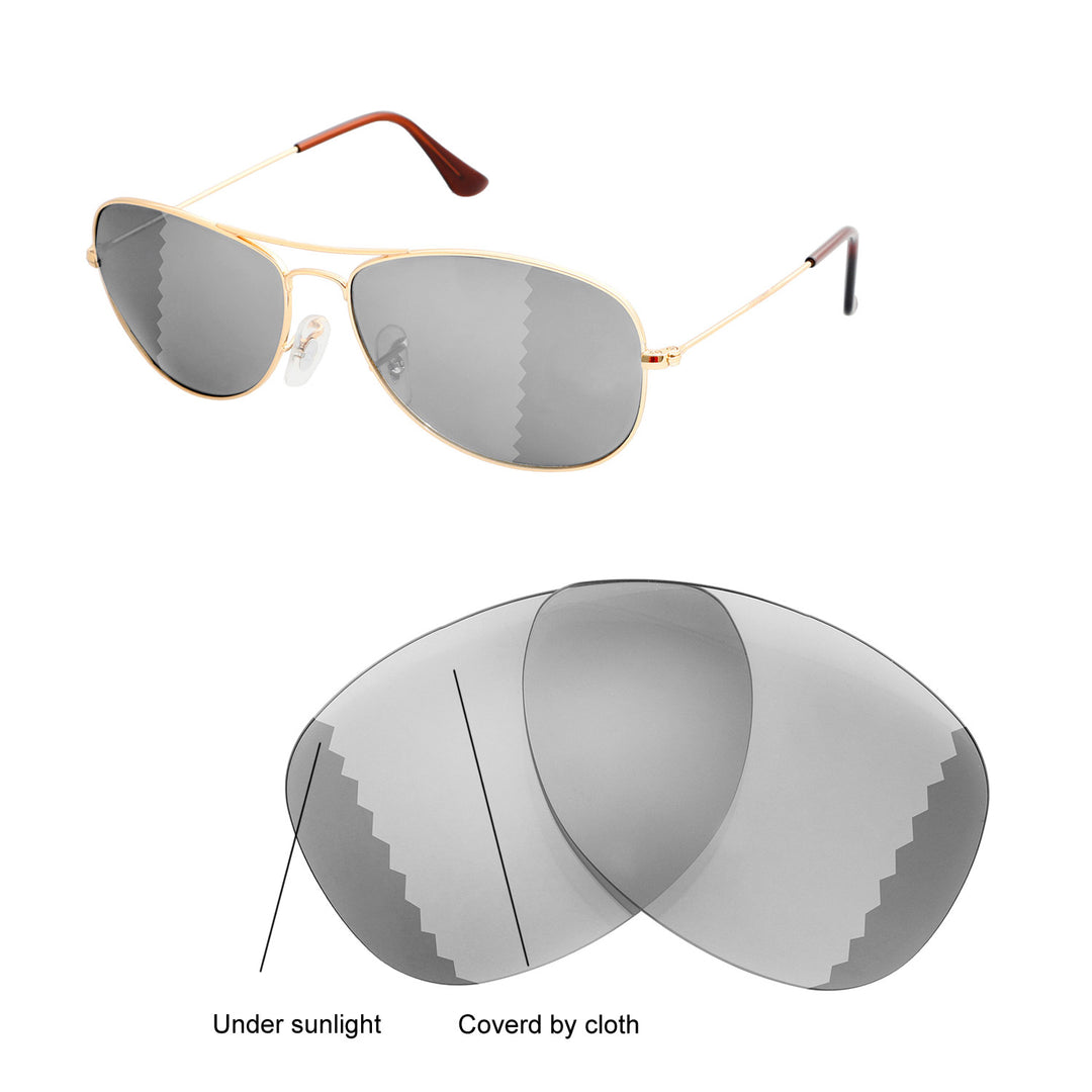 Transition Polarized