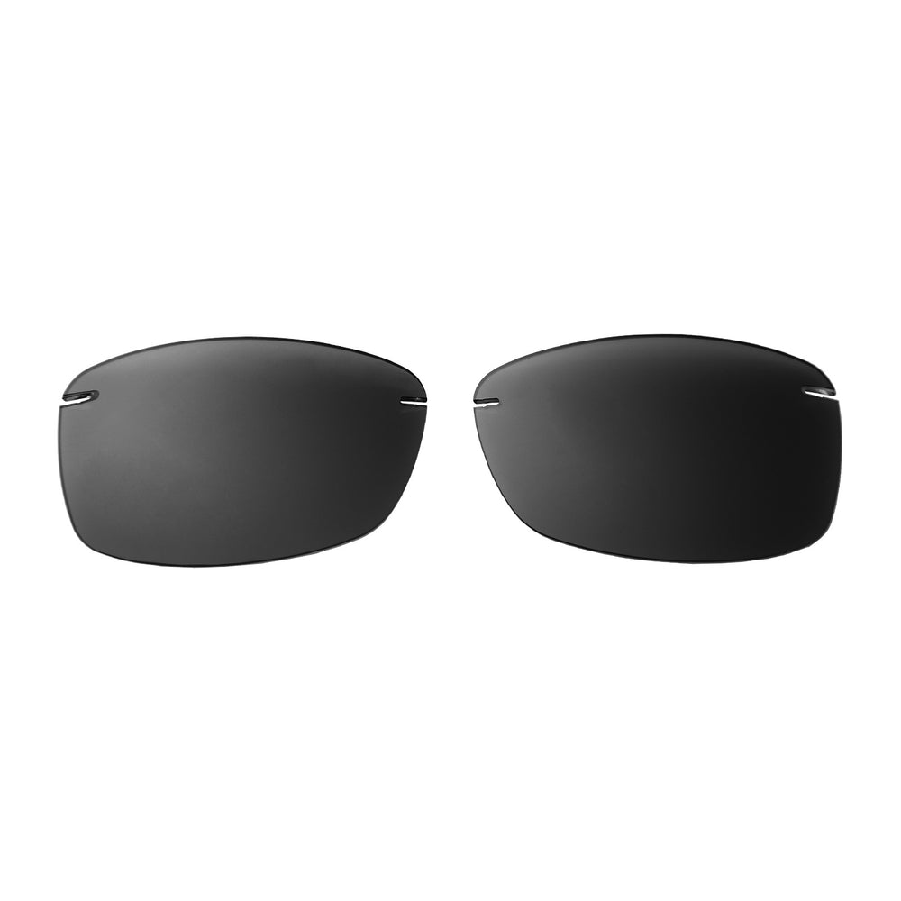 Black Polarized#color_black