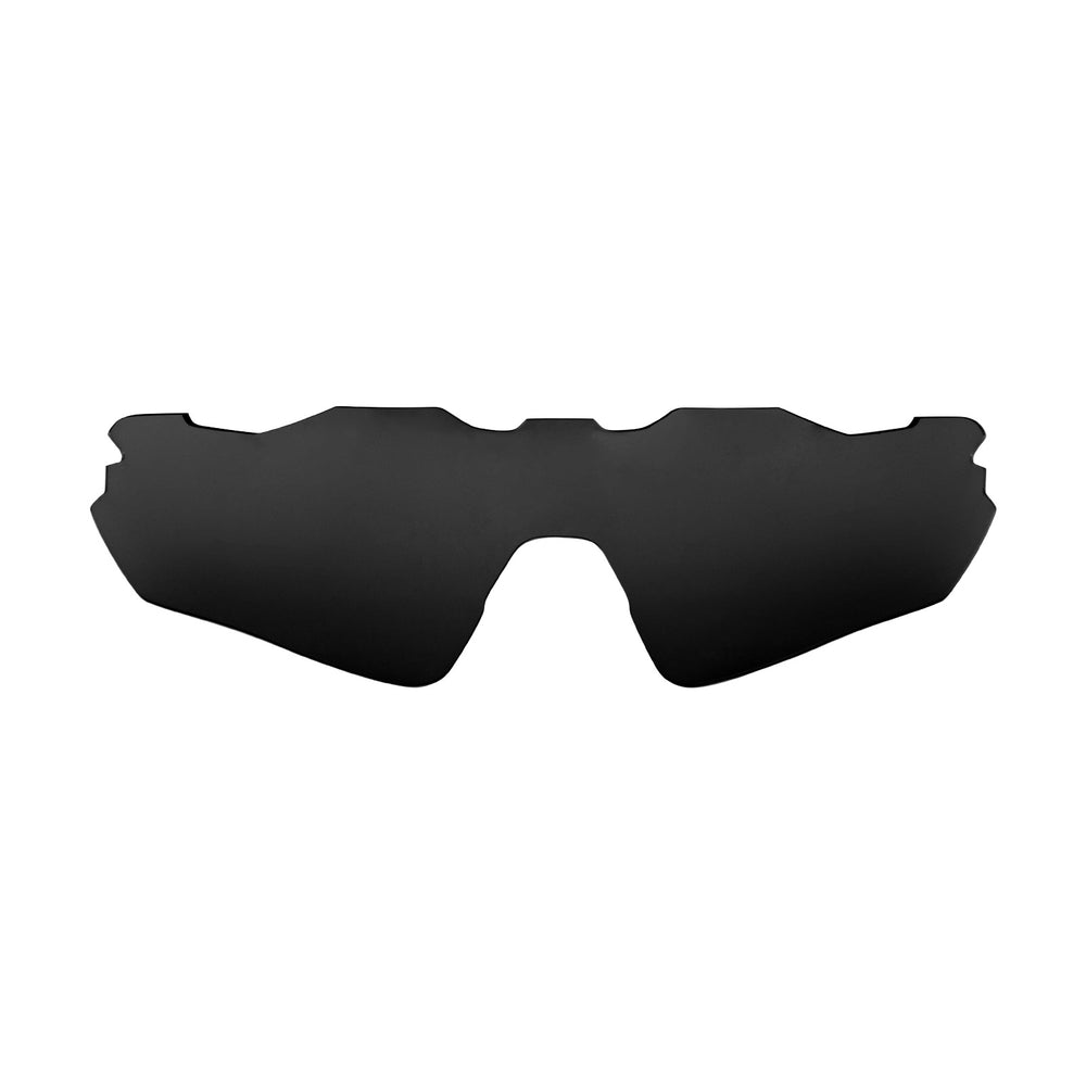 Black Polarized#color_black