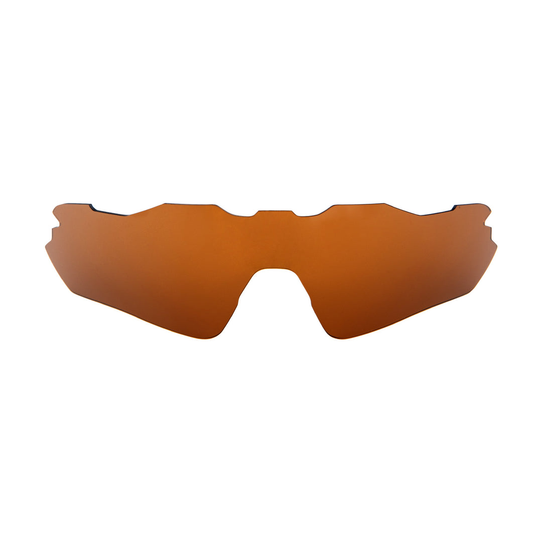 Brown Polarized