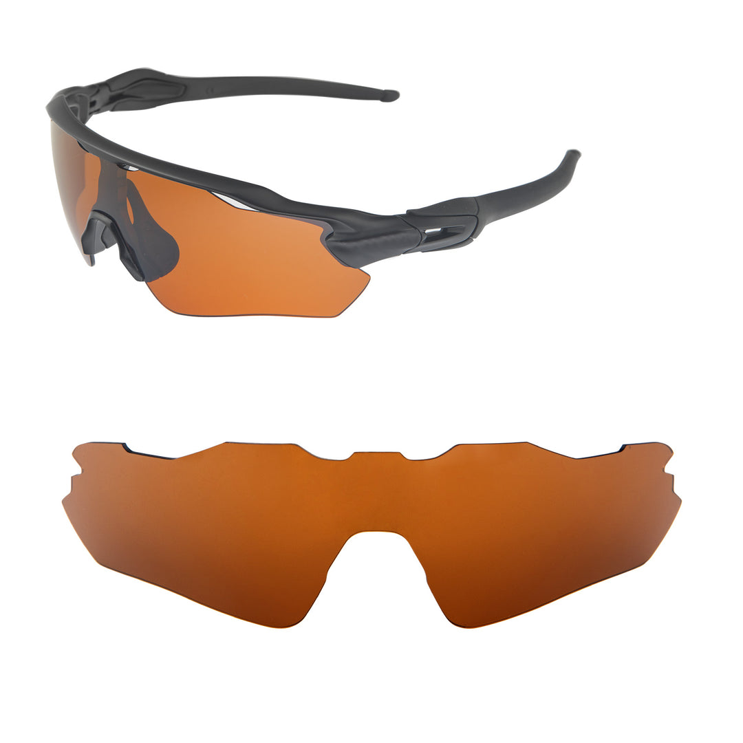 Brown Polarized