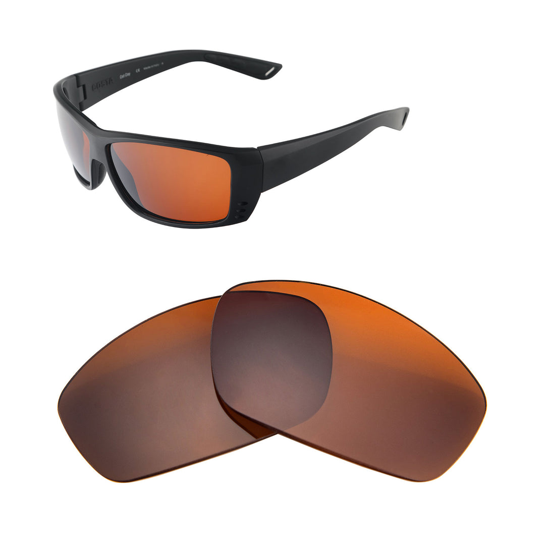 Brown Polarized