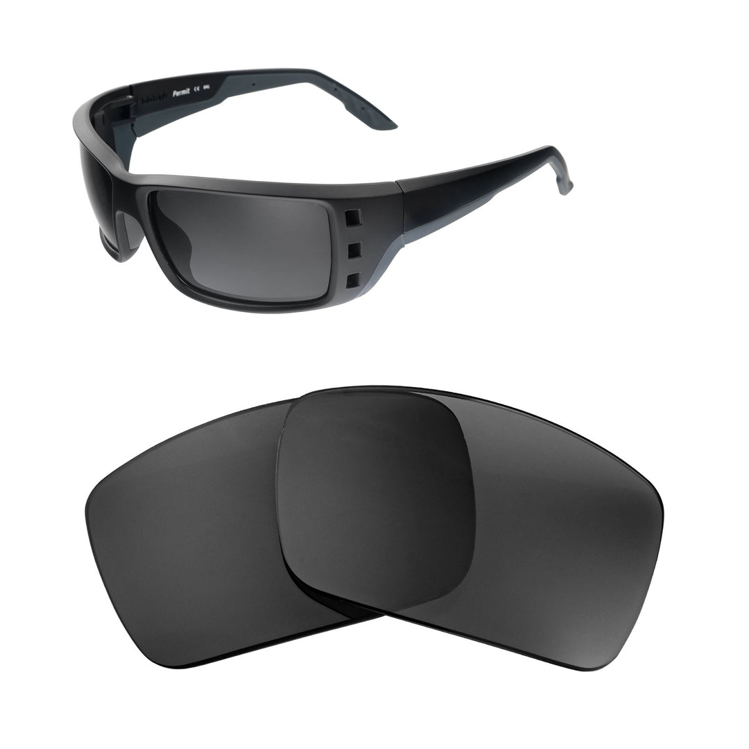 Black Polarized
