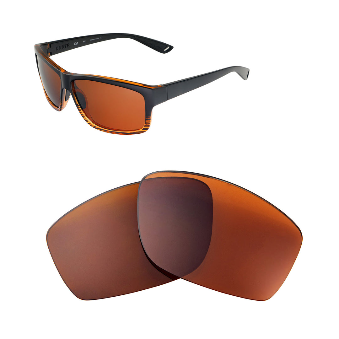Brown Polarized