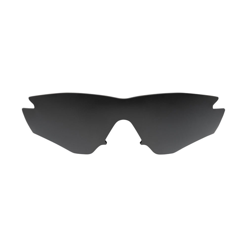 Black Polarized#color_black