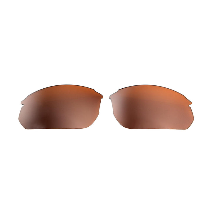 Brown Polarized