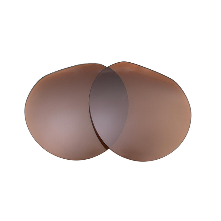 Brown Polarized