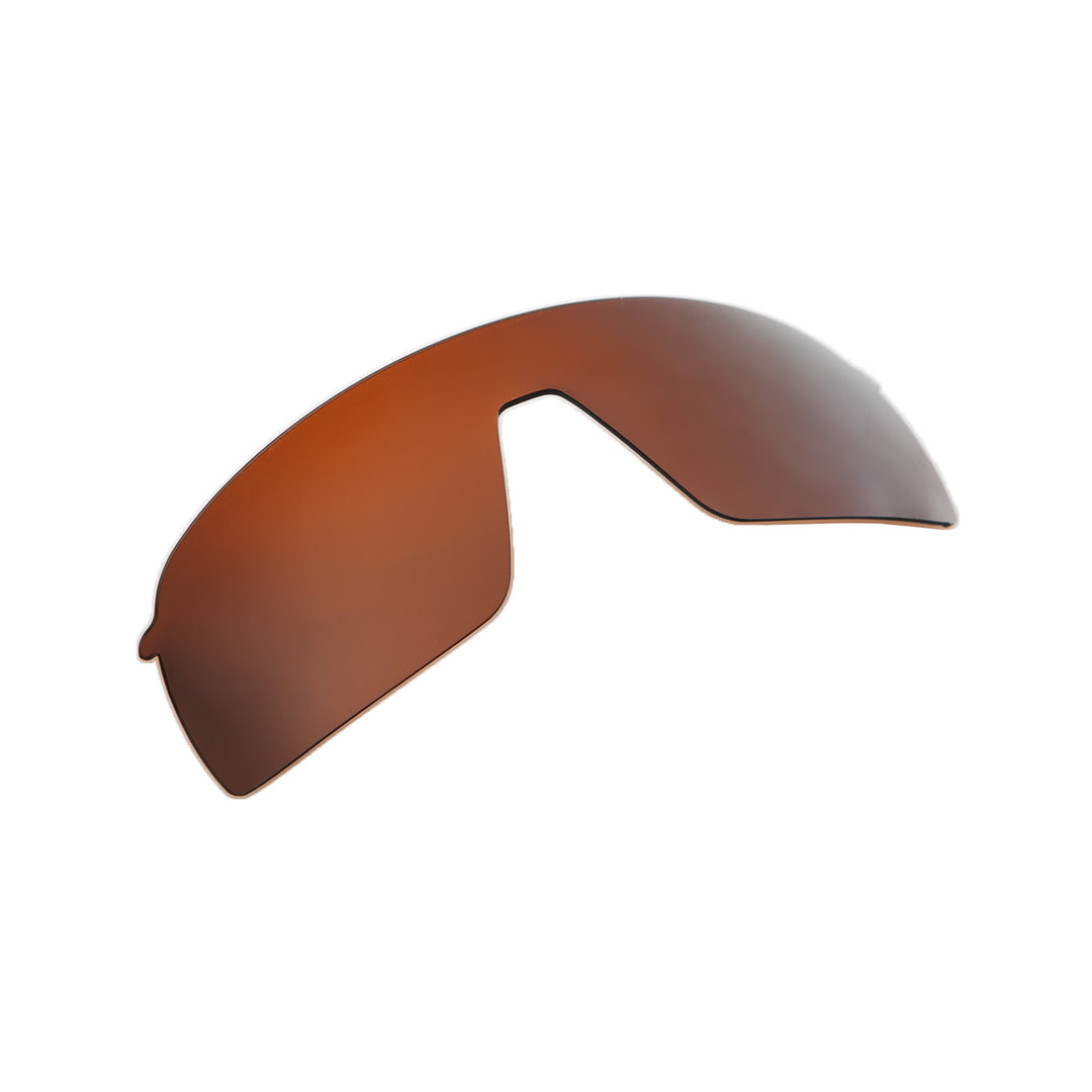 Brown Polarized