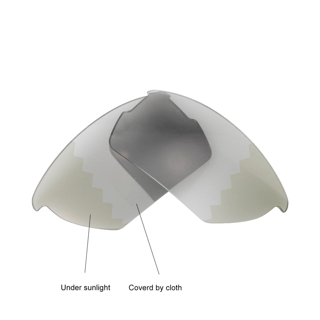 Transition Polarized