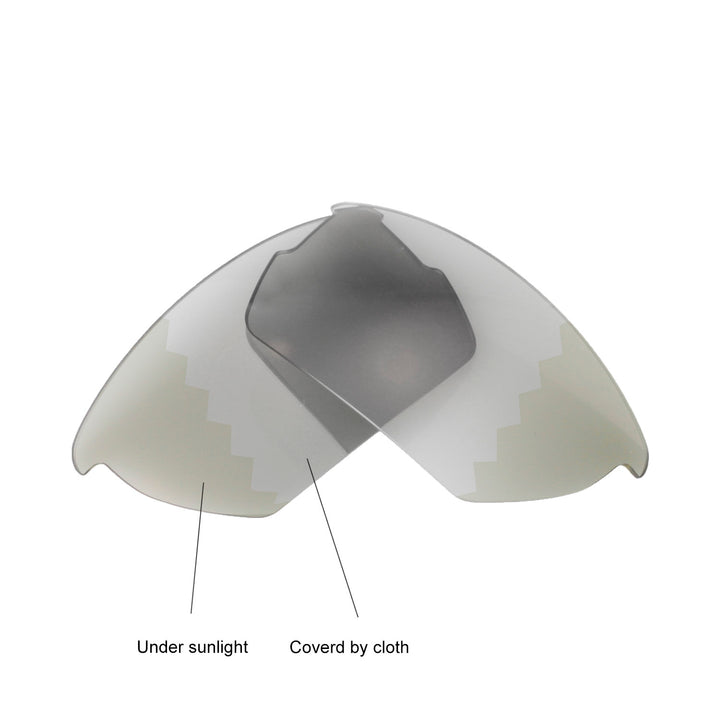 Transition Polarized
