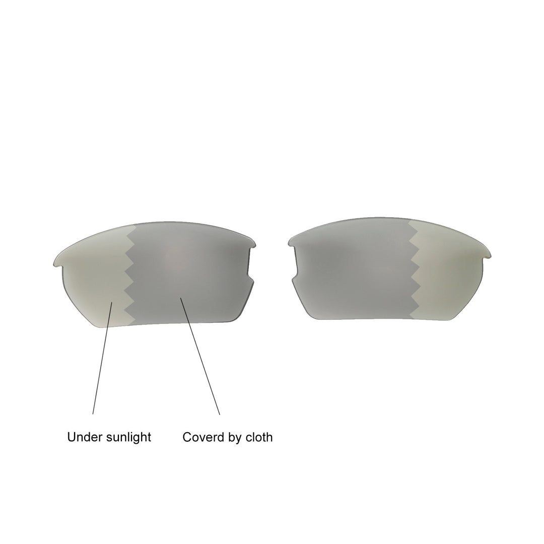 Transition Polarized