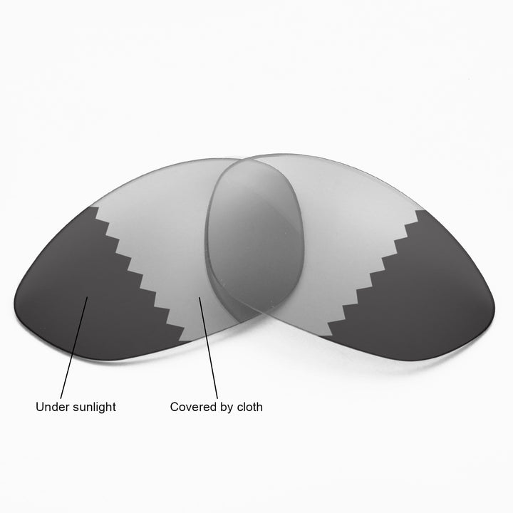 Transition Polarized